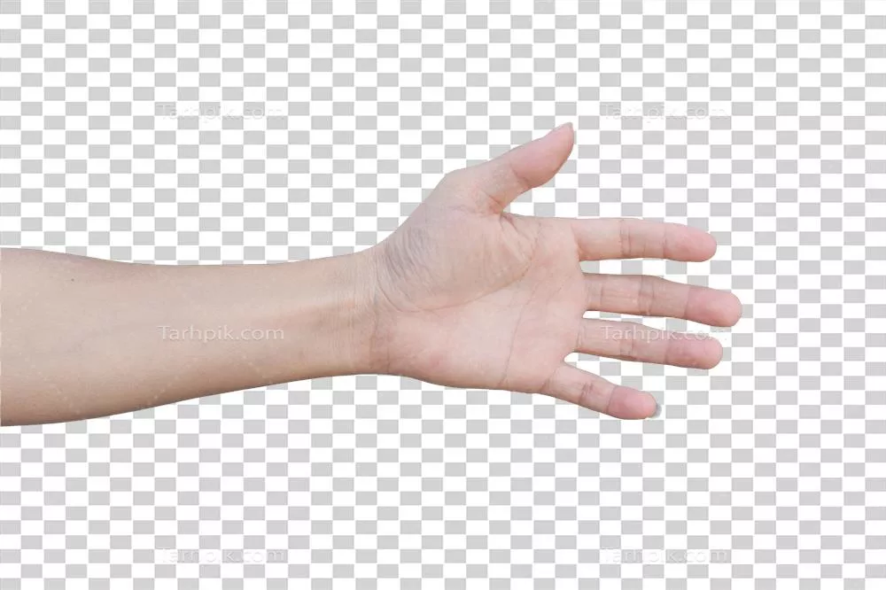 اشکال مختلف حرکات دست مردانه به صورت جداگانه و ایزوله