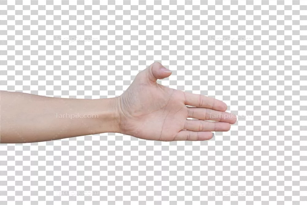 اشارات دست مردانه در حالت ایزوله شده - بررسی معنا و تأثیر آن‌ها