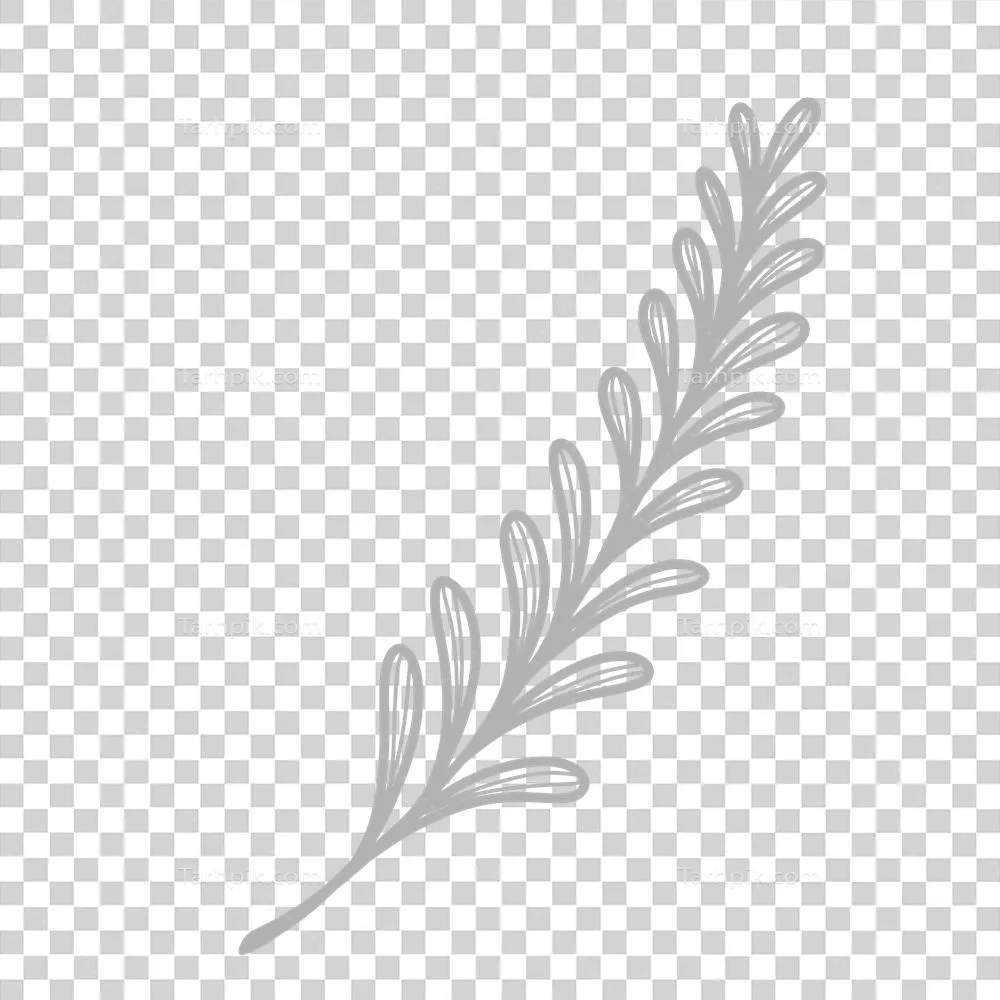 نقاشی خطی از برگ با خطوط زیبا و دقیق برای طراحی و دکوراسیون