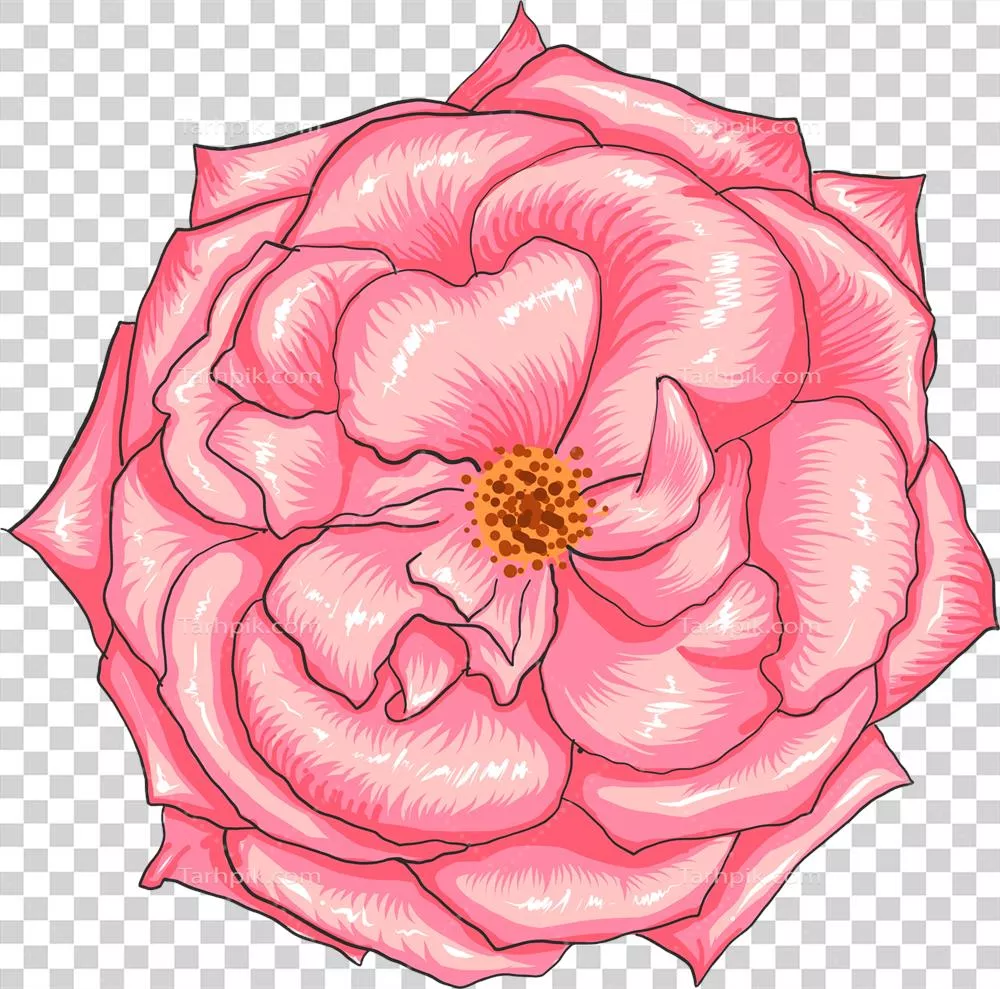 نقاشی گیاه‌شناسی با گل سرخ: تزیین و زیبایی طبیعت