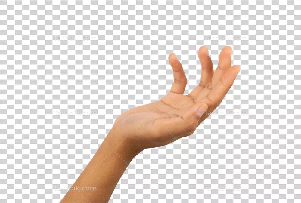 قالب نمایش اینکه دست با کف باز چیزی را نشان می‌دهد