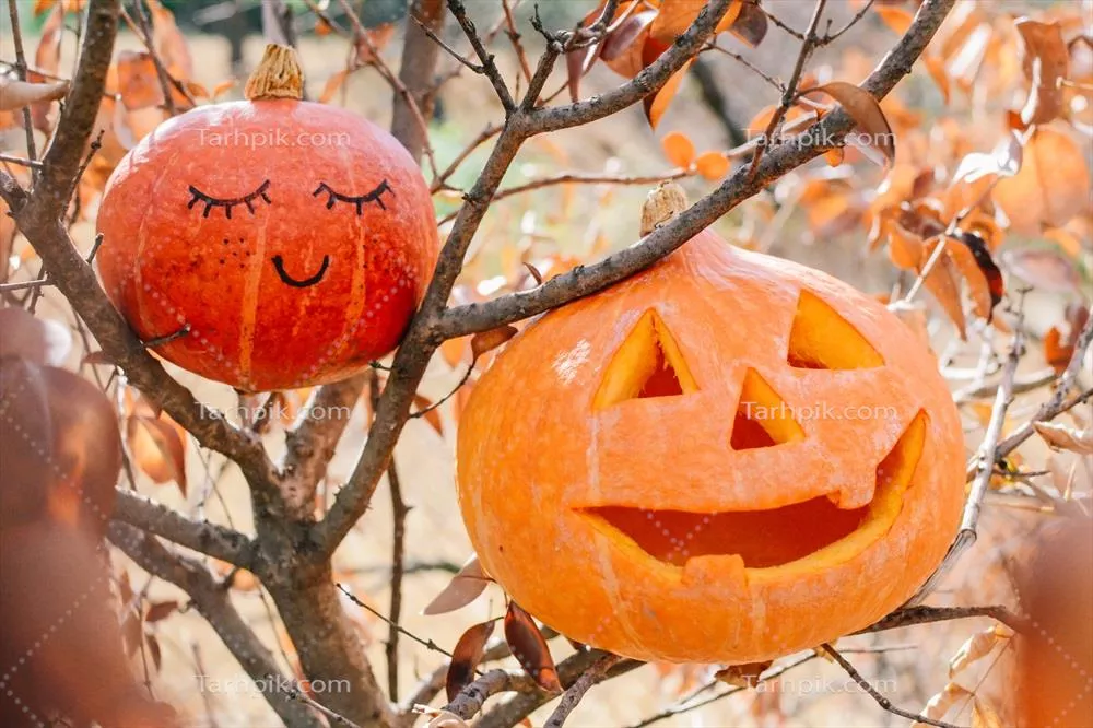 جشن هالووین: جشنی پرهیجان با کدو حلوایی در پاییز ماه اکتبر