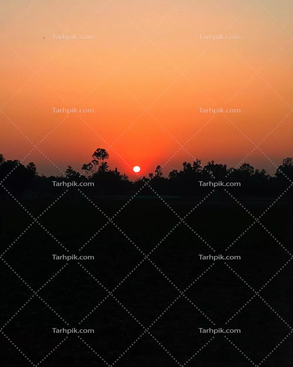 اشعه های نورانی خورشید در آسمان آبی و طبیعی