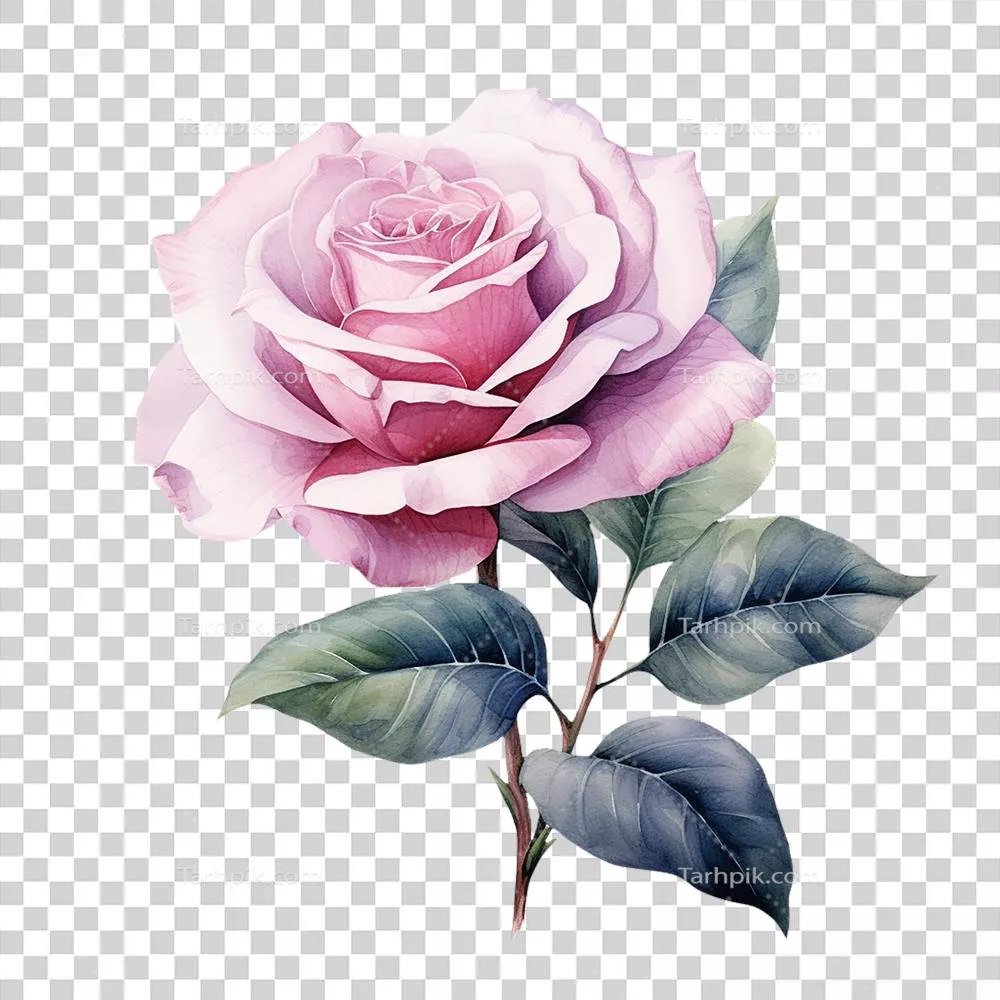 گلابی صورتی آبرنگی با طراحی هوش مصنوعی حرفه‌ای