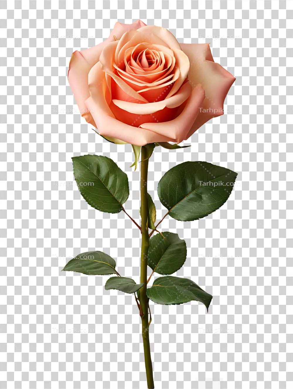 گلهای رز آبرنگی با طرحهای رنگارنگ و هنری به کمک هوش مصنوعی