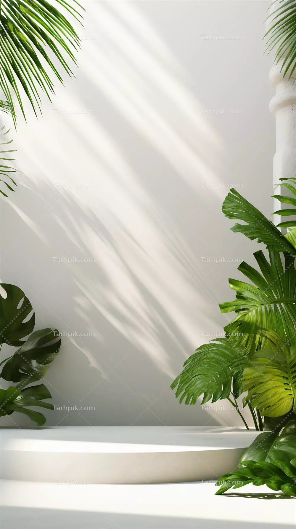 تصویر سازی مجازی سکوی خالی برای محصول در میان برگ های گرمسیری و اشعه های خورشید