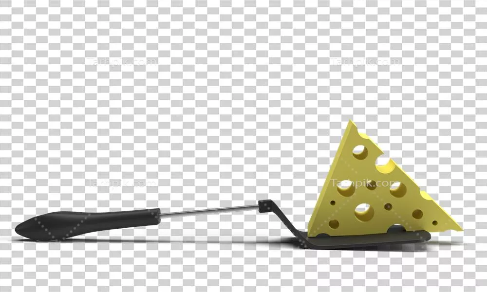 روز جهانی پنیر: جشن رنگهای زرد و نارنجی در غذای خوشمزه