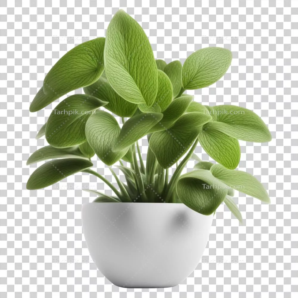 گیاه گلدانی سبز تولید شده با هوش مصنوعی بر روی پس زمینه شفاف