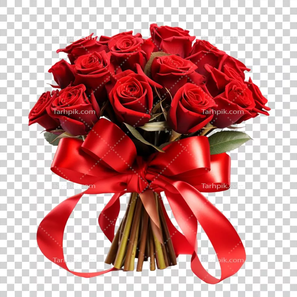 بخشی زیبا از گلی سرخ: دسته‌ای از گل‌های سرخ تولید شده توسط هوش مصنوعی بر روی پس‌زمینه‌ای شفاف