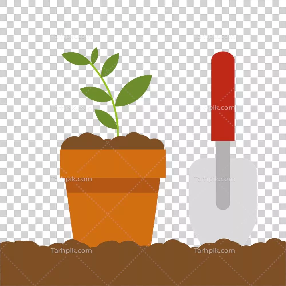 راهنمای جامع کاشت گل در گلدان برای باغبانی و زیبایی منزل