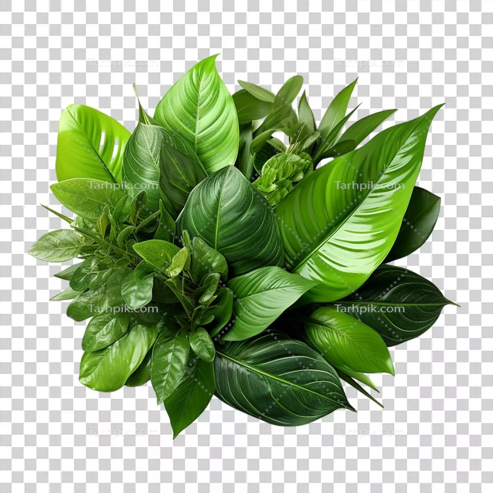 هنر گیاهی تولید شده توسط هوش مصنوعی بر روی کاغذ سبز با طراحی خلاقانه