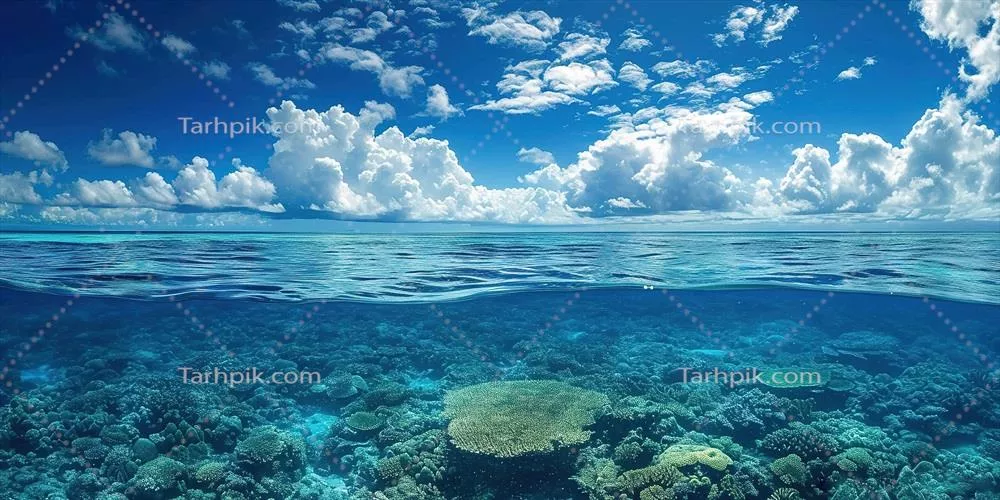 تصویری از صخره بزرگ ابر با اکوسیستم دریایی در کوئینزلند استرالیا