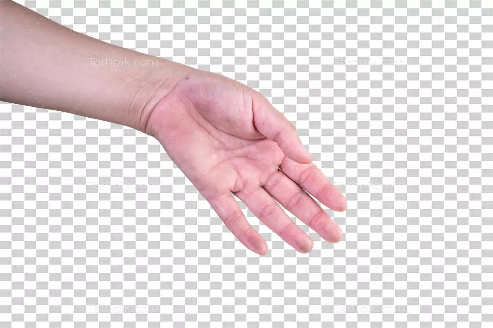 مسیر برش پسزمینه ایزوله برای تصویر دست بر روی پس زمینه خالی
