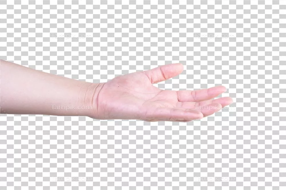 مسیر برش با پسزمینه ایزوله برای تصویر سازی حرفه ای دست