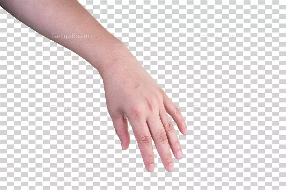 آموزش تکنیک برش تصویر دستی با پسزمینه جدا و ایزوله شده