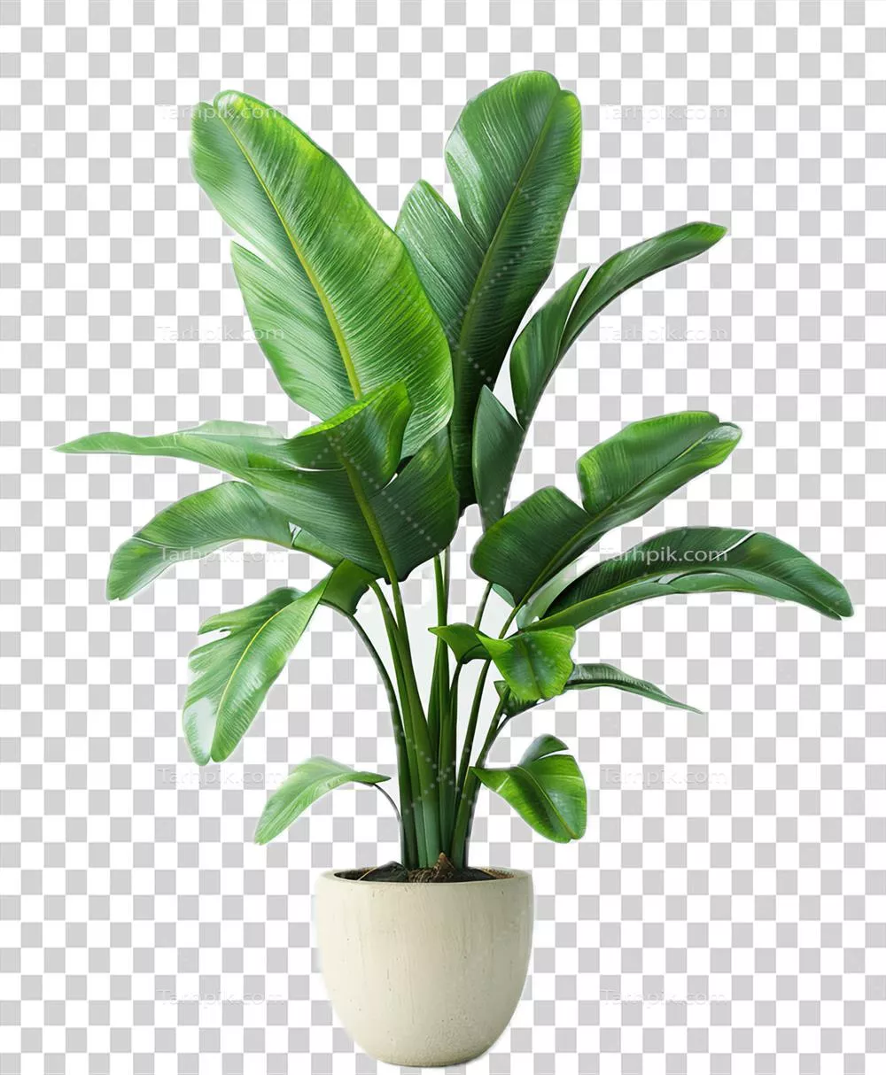 گیاه پدیده پرنده با گلدان طراحی شده توسط هوش مصنوعی