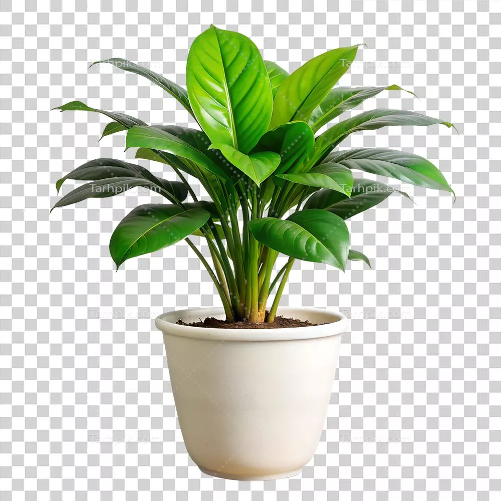 یک گیاه کوچک در یک گلدان قهوه‌ای زیبا و دنج