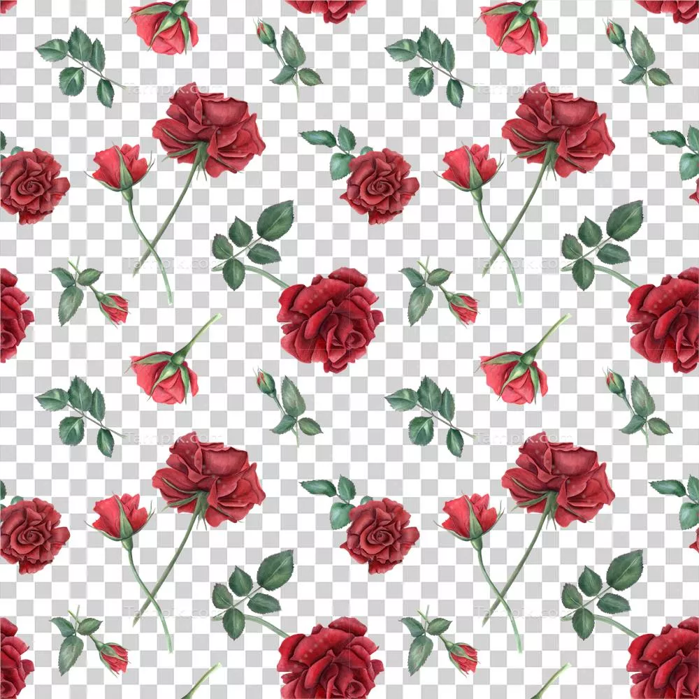 طرح شگفت انگیز گل‌های رُز قرمز با برگ‌های سبز برای طراحی مراسم و روزهای خاص