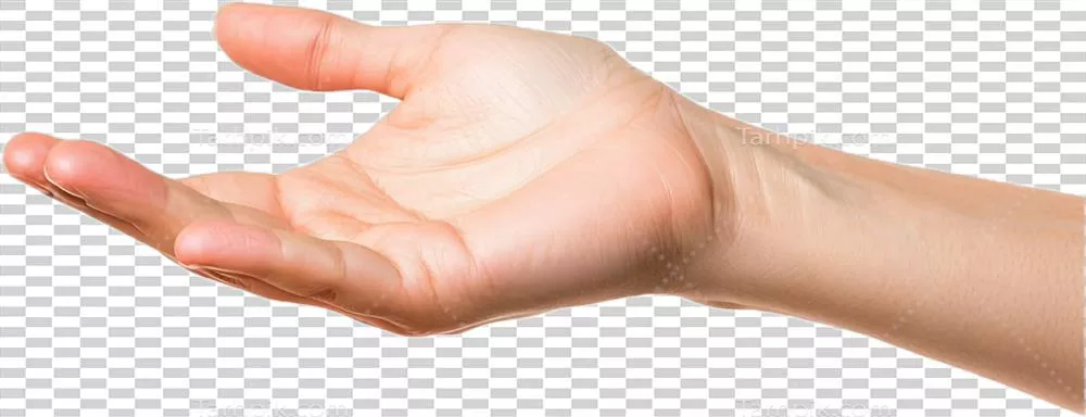 دست دراز شده برای درخواست کمک: نمادی از نیاز و همکاری
