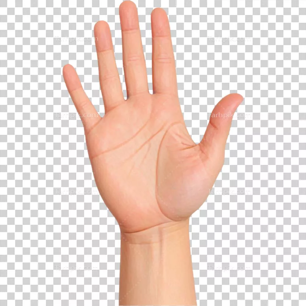 آیکون دست باز و صاف به صورت مسطح