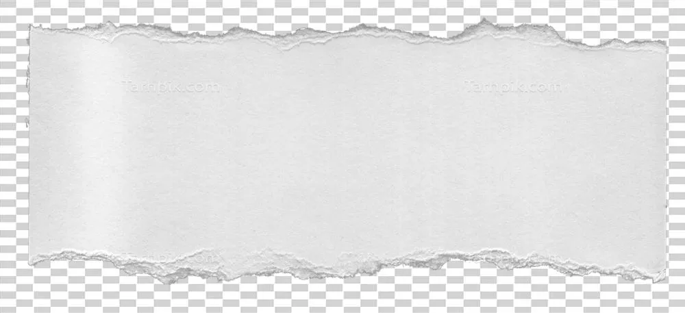 متن بافت کاغذ شفاف و پاره شده به همراه جزئیات و الگوهای جذاب