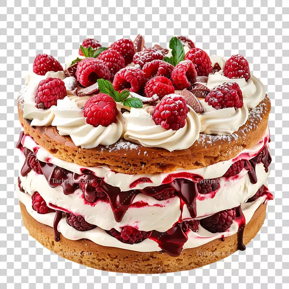 کیک لذیذی که با خامه تزیین شده است؛ دعوتی برای لذت و جشن