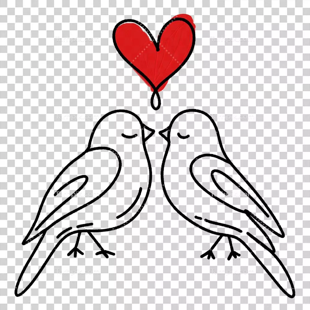 دو پرنده عاشق دوتایی با طراحی خطی و نقاشی روغن قرمز برای روز ولنتاین 14 فوریه