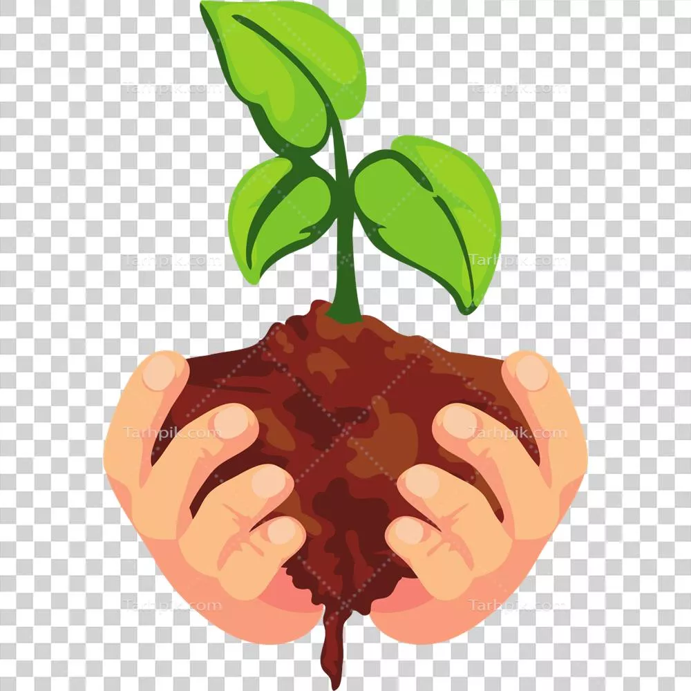 نگهداری از گیاه با دستانی پر از خاک و آلودگی، نشانه‌ای از مهر و محبت به طبیعت