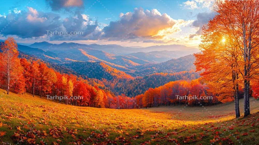 پس‌زمینه طبیعت با کیفیت بالا برای یک دید آرام و شگفت‌آور