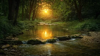 پس‌زمینه‌ای با کیفیت بالا از طبیعت برای دیدی آرام و خیره‌کننده