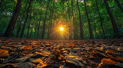 پس‌زمینه‌ای با کیفیت بالا از طبیعت برای نگاهی آرام و چشم‌نواز