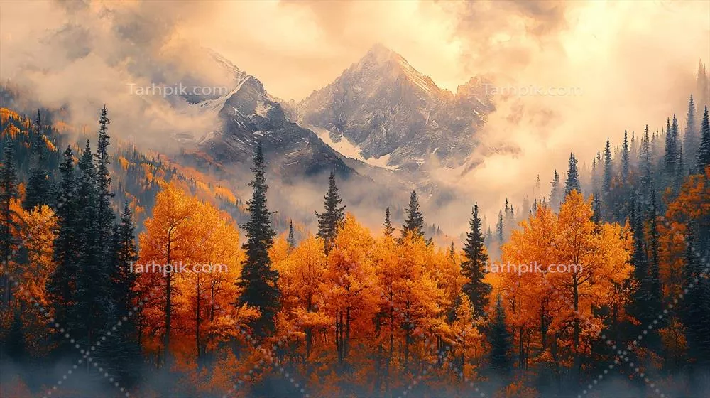 پس‌زمینه‌ای از طبیعت با وضوح بالا برای نمایی آرام و خیره‌کننده