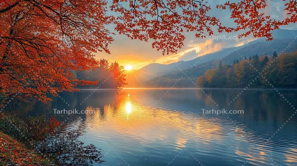 پس‌زمینه طبیعت با وضوح بالا برای یک نمای آرام و خیره‌کننده