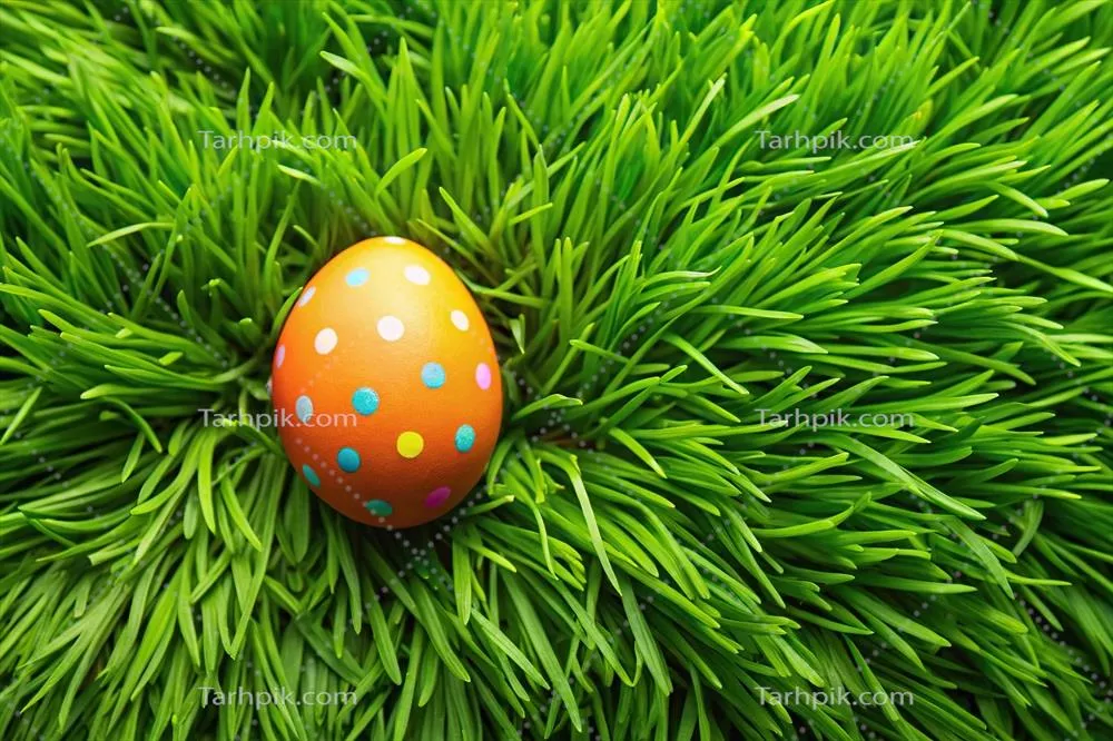 والپیپر تخم مرغ عید پاک با چمن های سرسبز و نمای هوایی زیبا