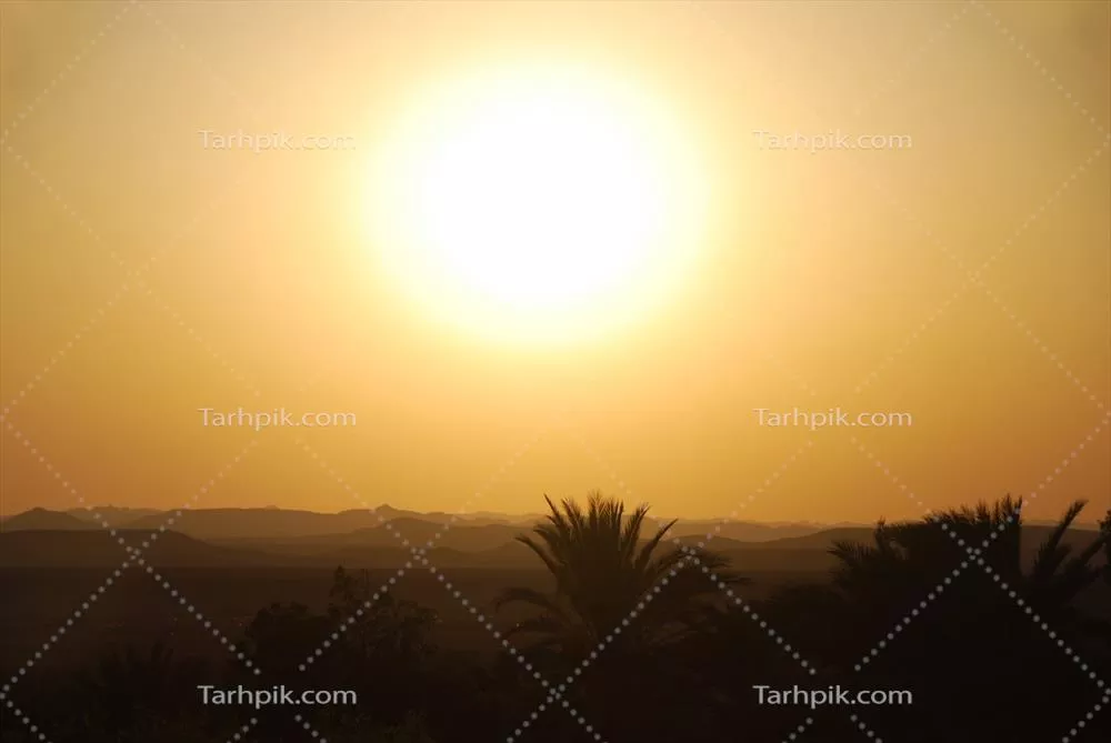 غروب خورشید با نخلها و کوههای زیبا در پسزمینه
