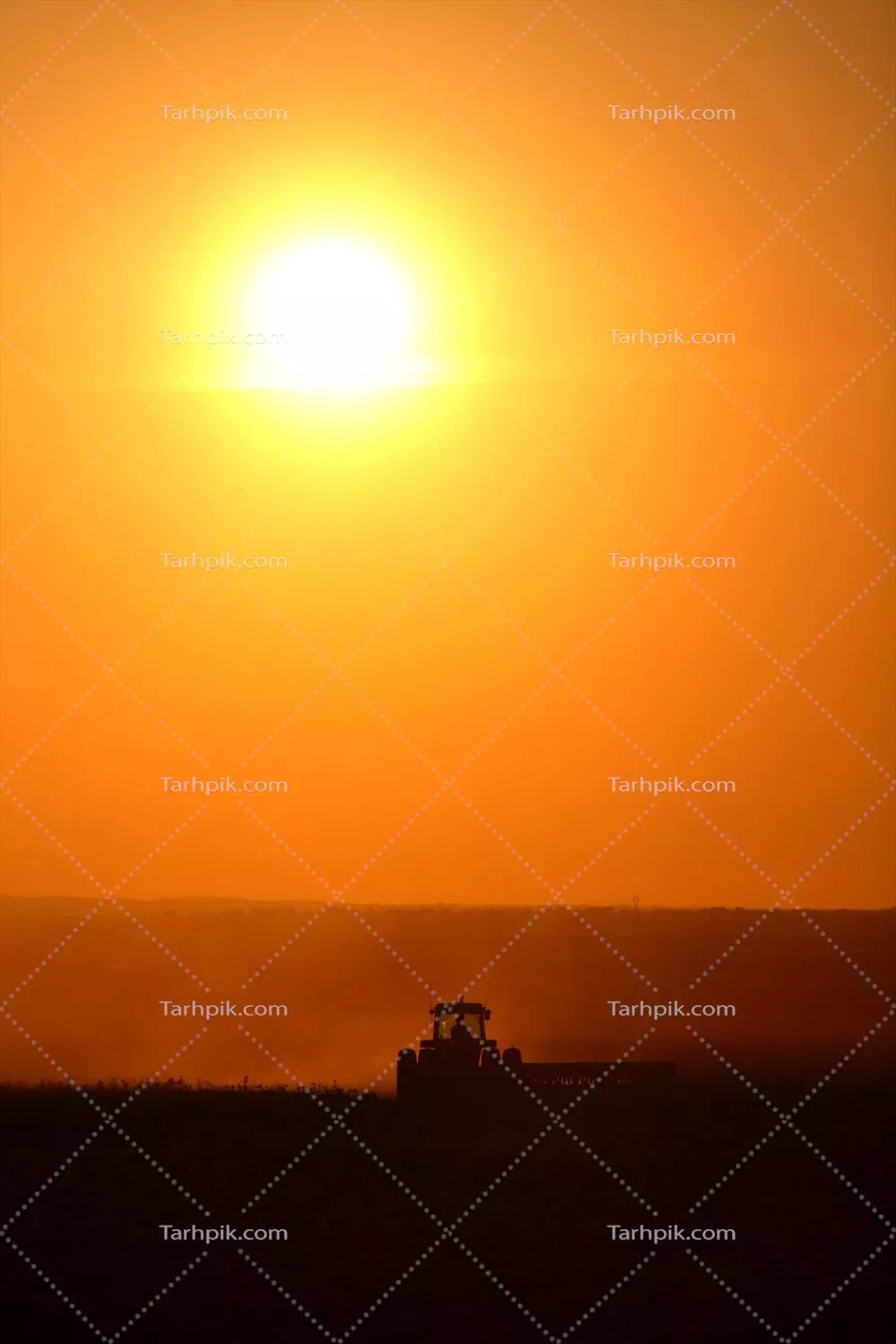 غروب خورشید در حال کشاورزی و کار در مزارع خود