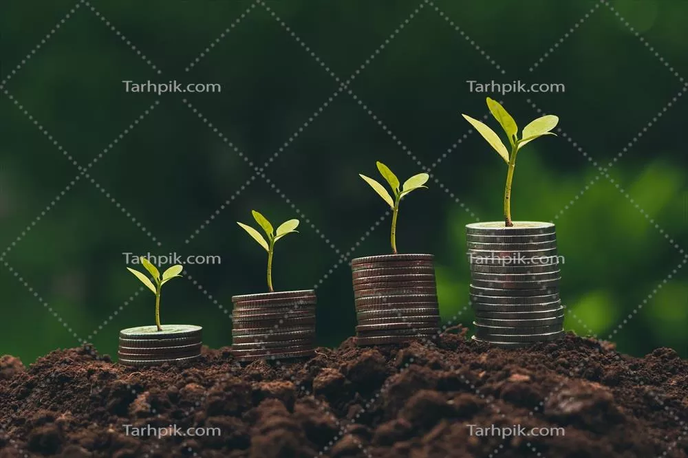 درختی در حال رشد بر روی توده ای سکه: مفهوم موفقیت در تجارت و سرمایه گذاری