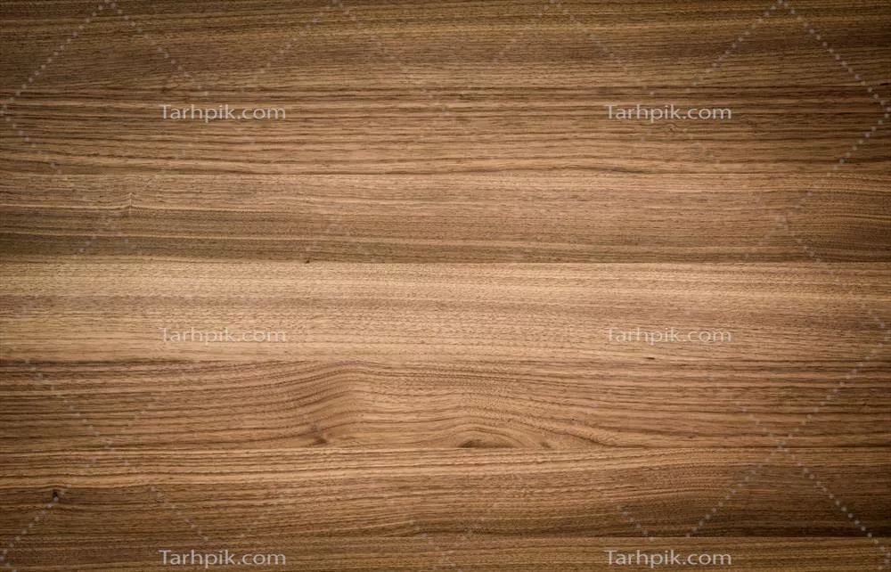 پیشینه و ویژگیهای سطح چوب گردو: یک بررسی جامع
