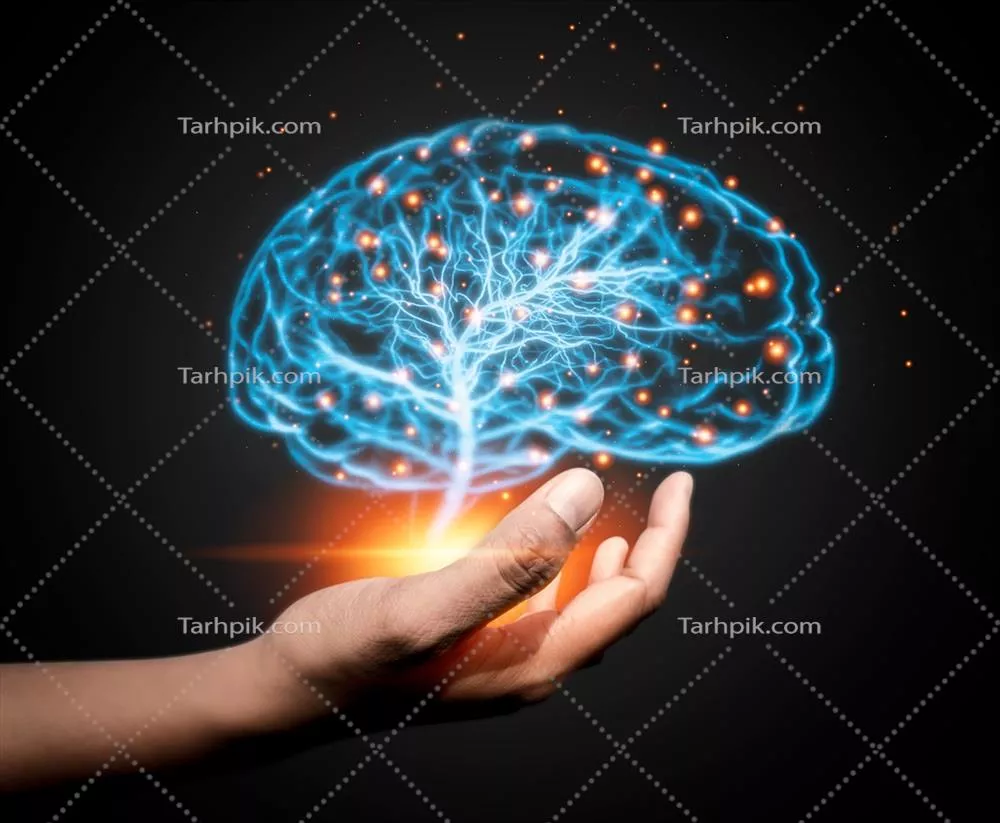 افزایش رشد کسب و کار با تحلیل نوآورانه شبکههای عصبی و مغز در تاریکی با درخشش