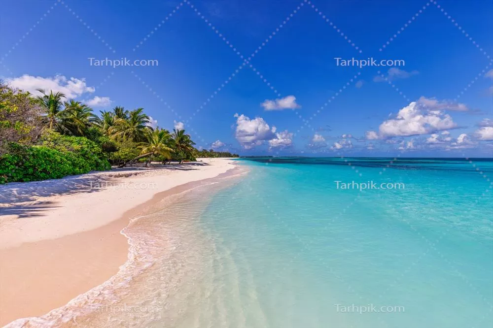 سواحل گرمسیری زیبا: آرامش در جزیره ای گرمسیری با درختان نخل و اقیانوس آبی شگفت انگیز