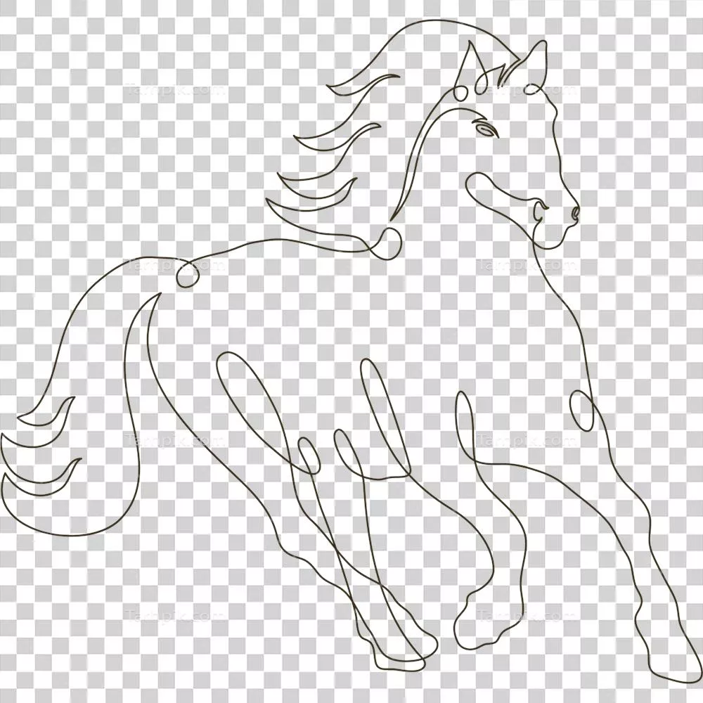 تصویر خال‌خالی از اسب وحشی به روش خطی و هنری