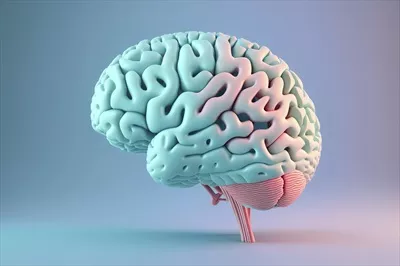 مدل سه بعدی از مغز انسان با رنگهای پاستلی بر روی پسزمینه آبی با استفاده از هوش مصنوعی ژنراتیو