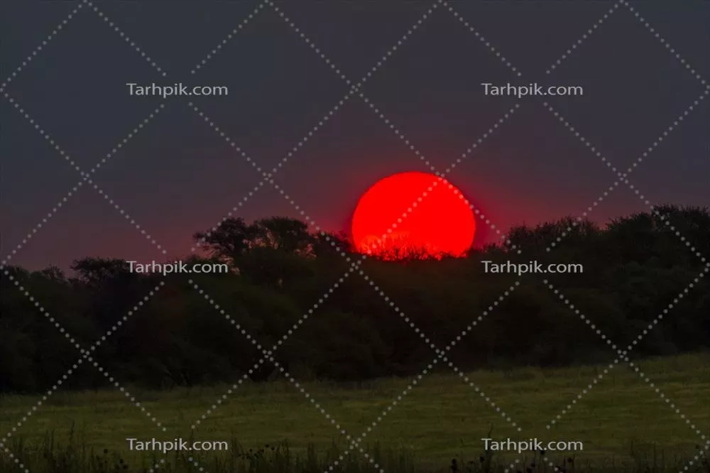 خورشید قرمز در آسمان: زیبایی و شگفتی‌های طبیعی