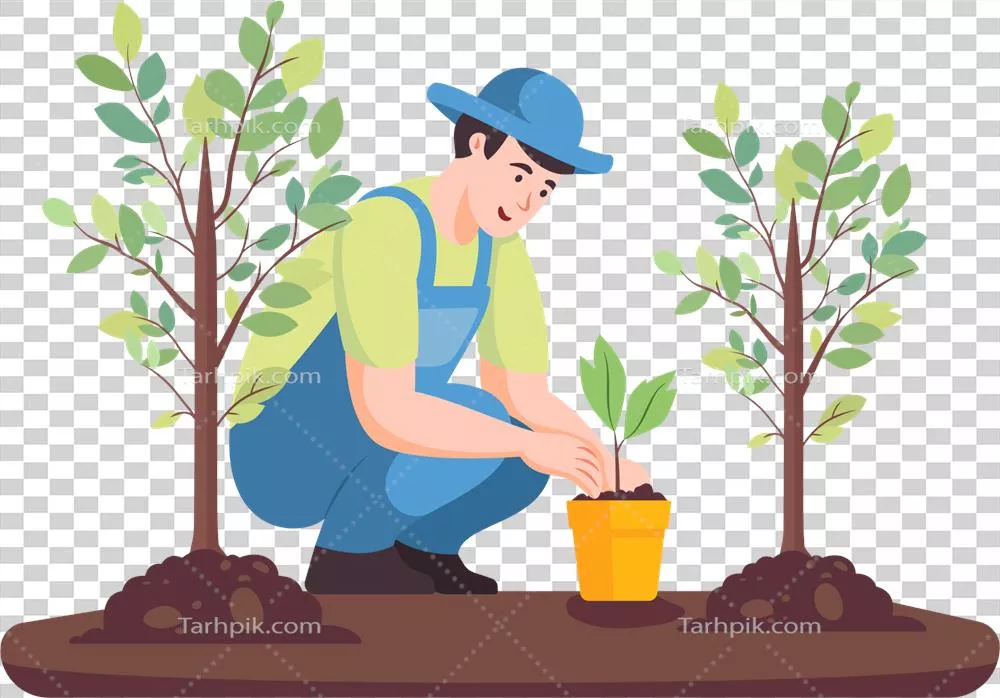 مردی در حال کاشت درخت به سبک فلت برای روز زمین و محیط زیست