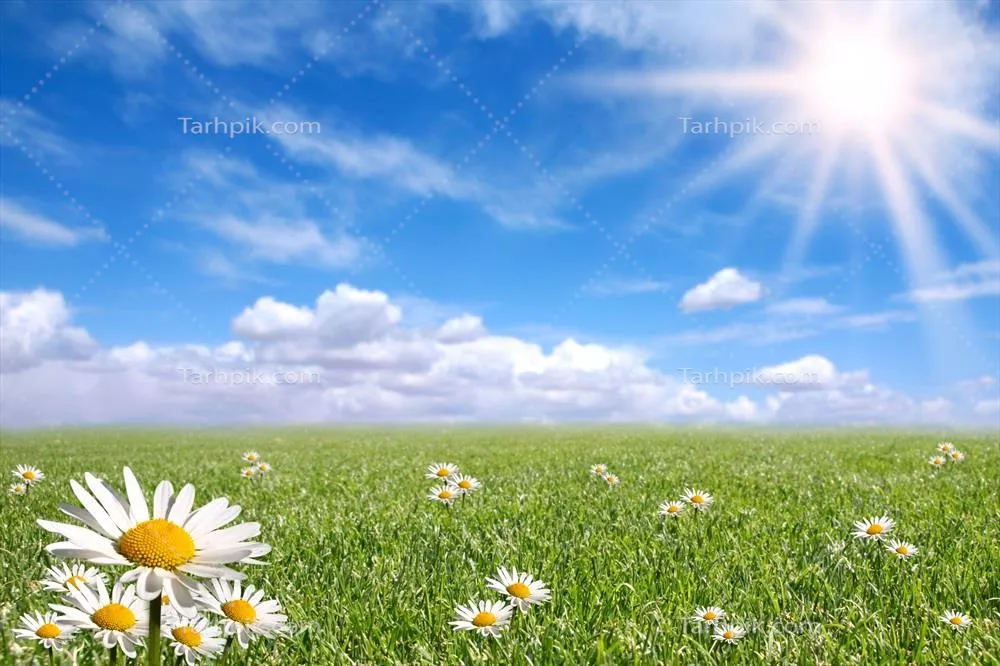 روز خوش و روشن بهاری در فضای باز