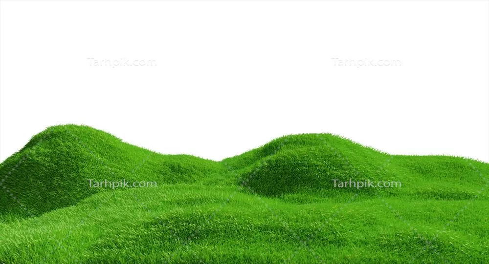 رندر سه بعدی تپه سبز با چمن در پسزمینه سفید و بدون هیچ گونه مانع