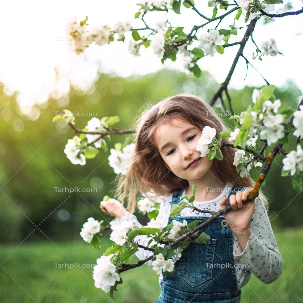 دختربچه‌ای زیبا و دوست‌داشتنی در باغ سیب شکوفه‌زده بهاری