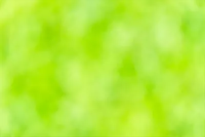 زمینه سبز تیره به همراه نامشخصی و حس تاریکی