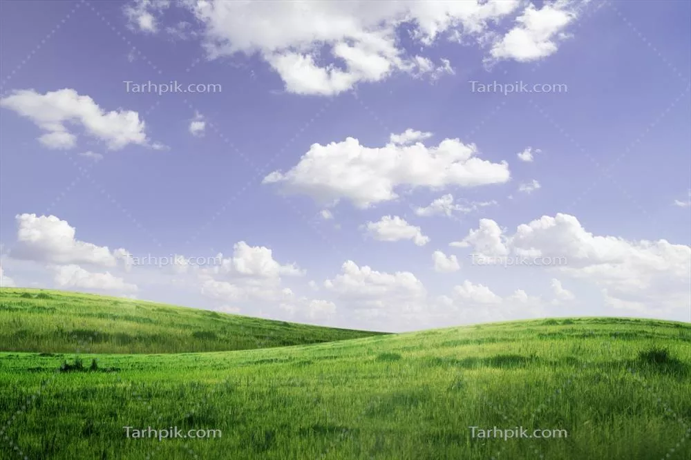 پسزمینهای از چمن سبز و آسمان آبی با زیبایی طبیعی