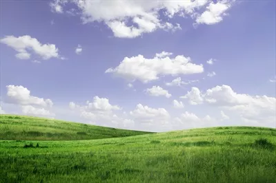 پسزمینهای از چمن سبز و آسمان آبی با زیبایی طبیعی